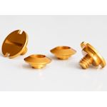 Zamp Visor Screws Gold